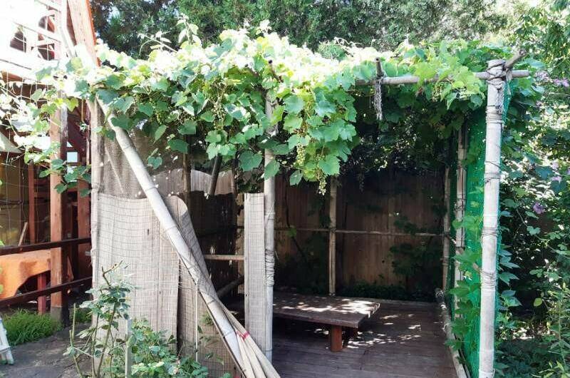 Изображение Изображение гостиницы &quot;Гостевой дом «Алита»&quot; #3 #3