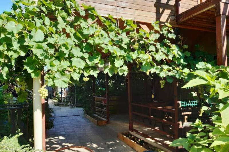 Изображение Изображение гостиницы &quot;Гостевой дом «Алита»&quot; #8 #8