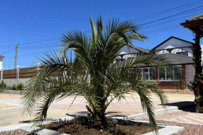 Изображение Изображение гостиницы &quot;Мини-отель «Oasis Eco-House»&quot; #6 #6