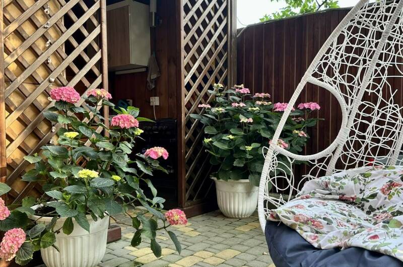 Изображение Изображение гостиницы &quot;Гостевой дом «Зеленый мир»&quot; #6 #6