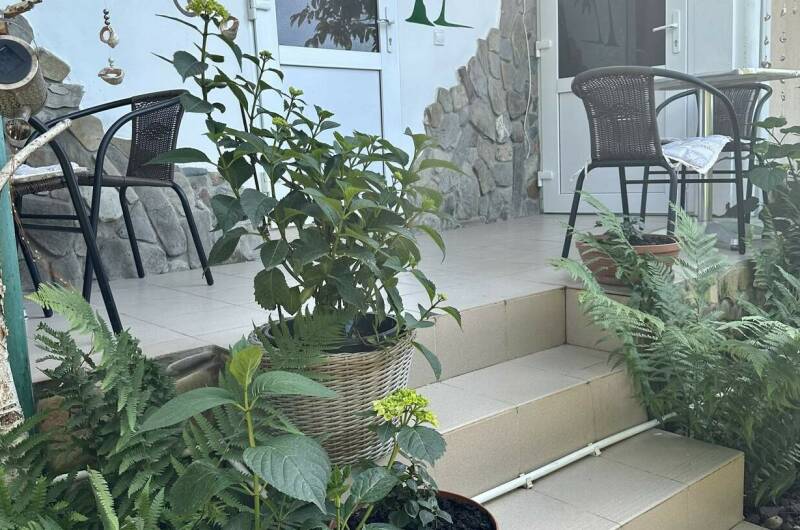 Изображение Изображение отеля / гостиницы "Гостевой дом «Зеленый мир»" #10 #8