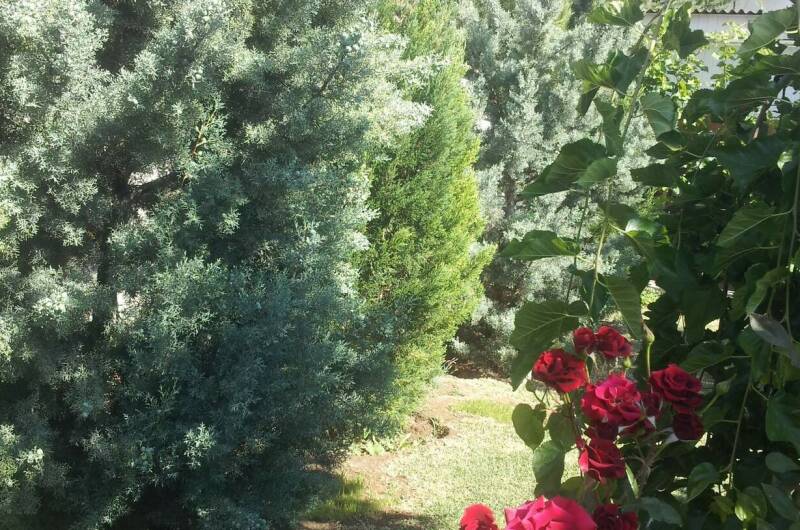 Изображение Изображение гостиницы &quot;Гостевой дом «Aннушка»&quot; #8 #8