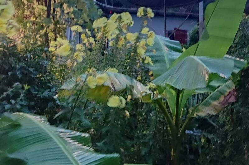 Изображение Изображение гостиницы "Гостевой дом «У Кедра»" #6 #6