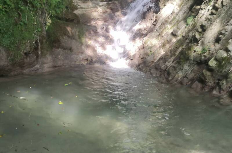 Изображение Изображение гостиницы "Гостевой дом «У Кедра»" #8 #8