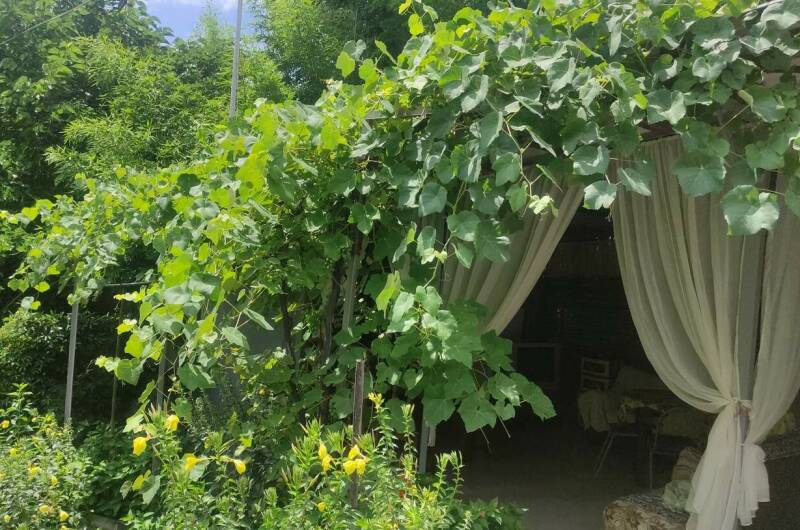 Изображение Изображение отеля / гостиницы "Гостевой дом «У Кедра»" #11 #9