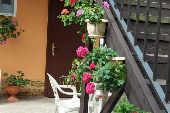 Изображение Изображение гостиницы "Гостевой дом «Оранжевый»" #3 #3