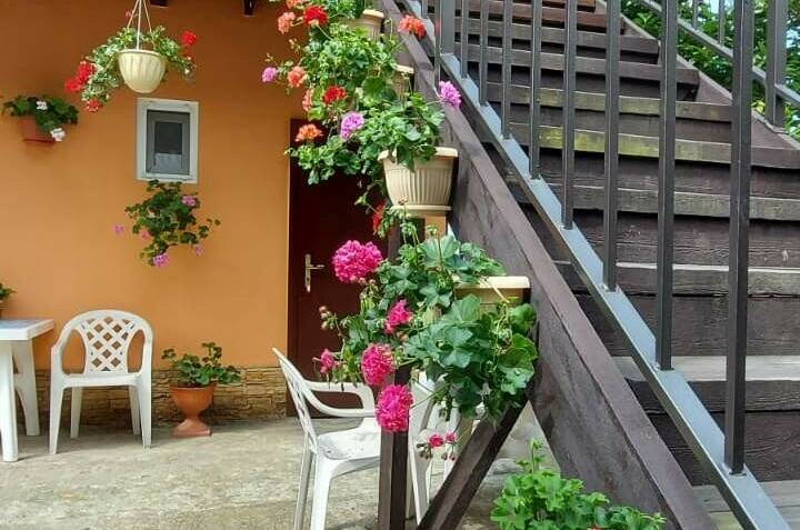 Изображение Изображение гостиницы "Гостевой дом «Оранжевый»" #6 #6