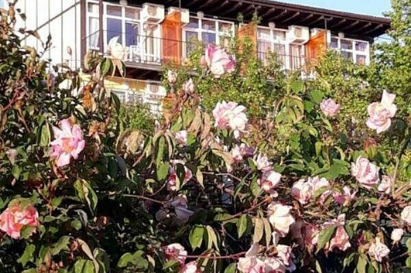 Изображение Изображение гостиницы "Гостевой дом «Оранжевый»" #8 #8