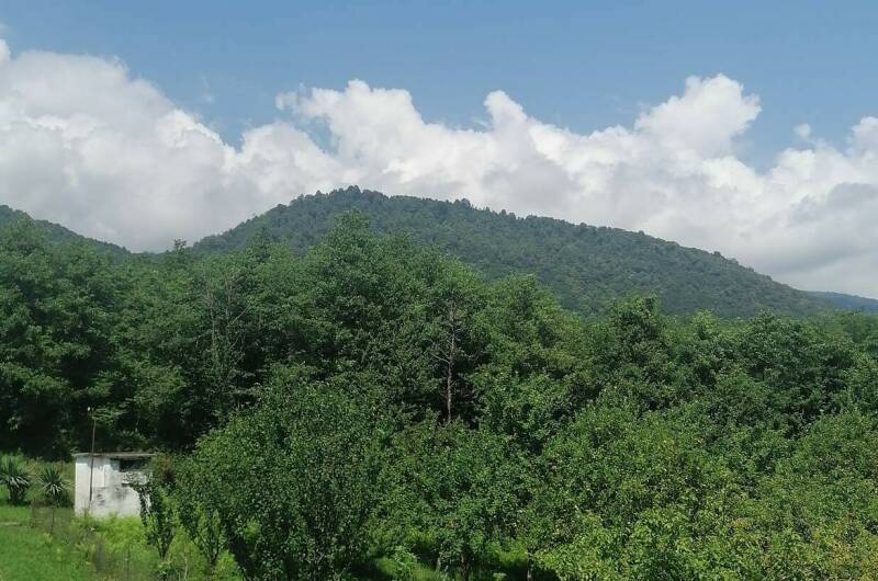 Изображение Изображение квартиры "Дом под ключ «Абхазский двор»" #6 #6