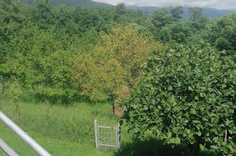 Изображение Изображение квартиры / апартамента "Дом под ключ «Абхазский двор»" #10 #8