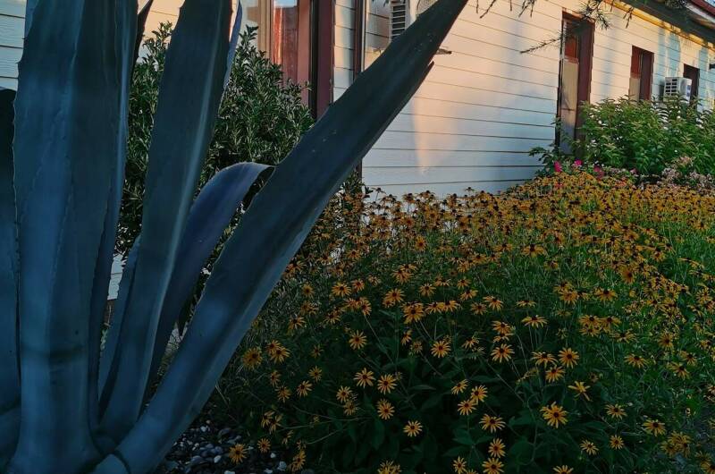 Изображение Изображение гостиницы "Гостевой дом «У Ирины на море»" #2 #2