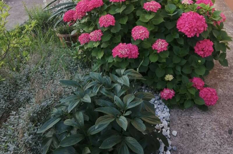 Изображение Изображение гостиницы "Гостевой дом «У Ирины на море»" #3 #3