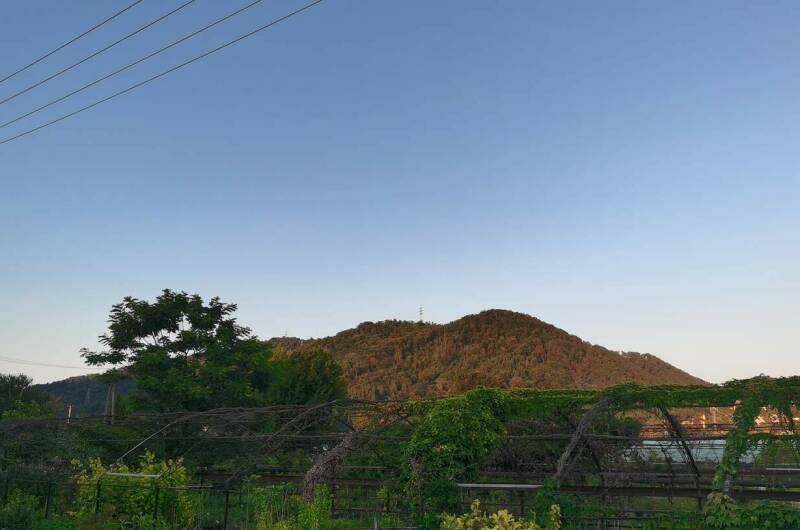 Изображение Изображение гостиницы "Гостевой дом «У Ирины на море»" #4 #4