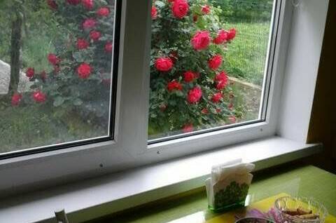 Изображение Изображение гостиницы "Гостевой дом «Два ясеня»" #5 #5