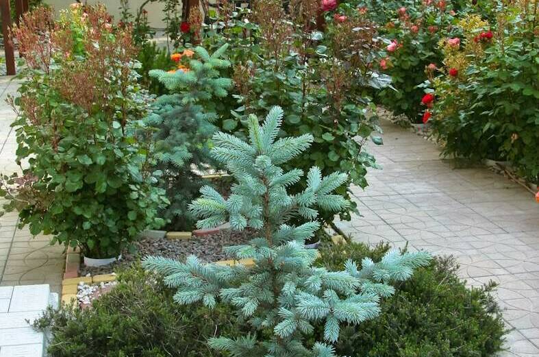 Изображение Изображение гостиницы "Гостевой дом «Аритэль»" #6 #6