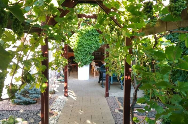 Изображение Изображение отеля / гостиницы "Гостевой дом «Аритэль»" #11 #9