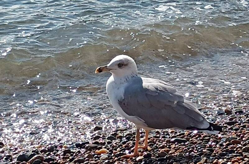 Изображение Изображение гостиницы &quot;Гостевой дом «345 шагов»&quot; #8 #8