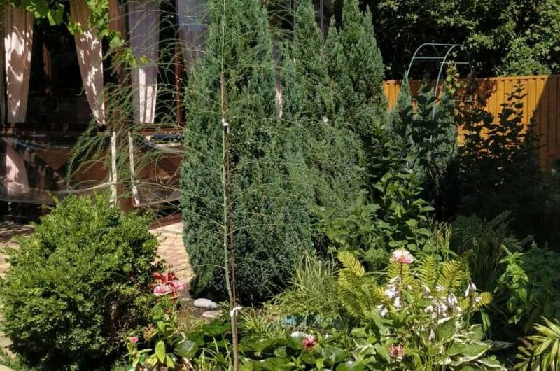 Изображение Изображение гостиницы "Гостевой дом «Киш-Миш»" #4 #4