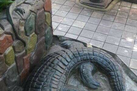 Изображение Изображение гостиницы &quot;Частный сектор «Тропикано»&quot; #3 #3