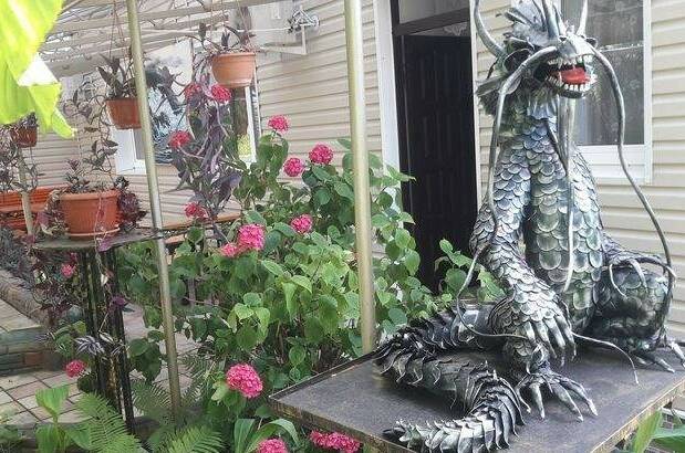 Изображение Изображение отеля / гостиницы "Частный сектор «Тропикано»" #11 #9