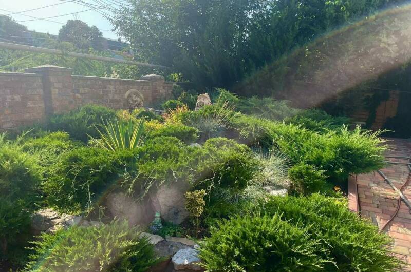 Изображение Изображение гостиницы &quot;Гостевой дом «Крымский дворик 2»&quot; #2 #2