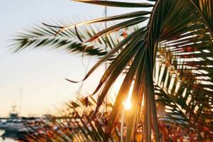 Изображение гостиницы "Частный дом «Марина»"