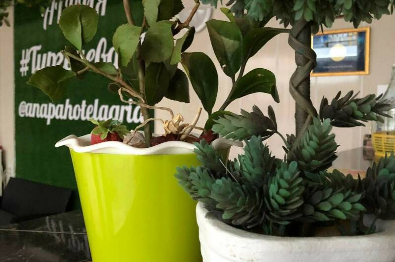 Изображение Изображение гостиницы &quot;Гостевой дом на Тургенева 97&quot; #6 #6