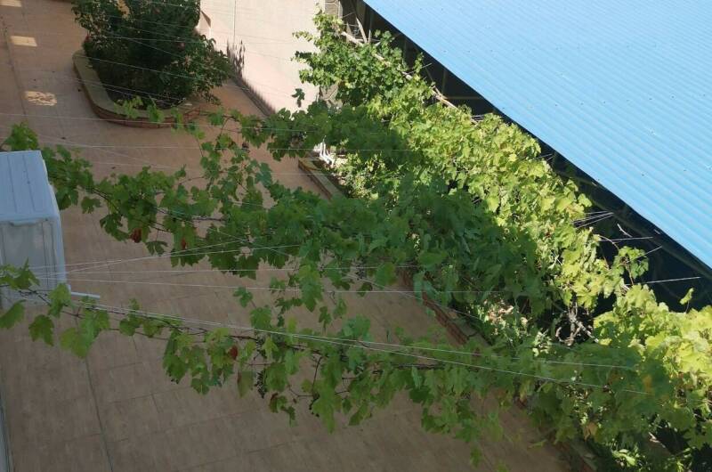 Изображение Изображение гостиницы &quot;Гостевой дом «Sukko house»&quot; #8 #8