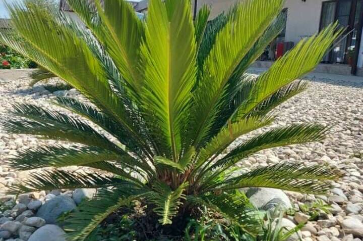 Изображение Изображение гостиницы &quot;Частный дом «Ариана»&quot; #5 #5