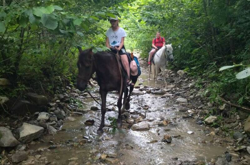 Изображение Изображение гостиницы "Гостевой дом «Старая кляча»" #2 #2