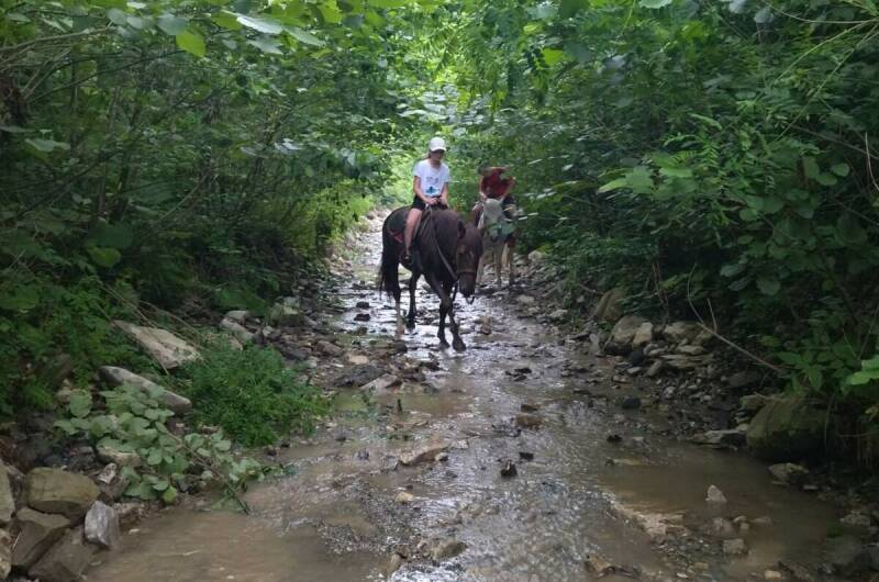 Изображение Изображение гостиницы "Гостевой дом «Старая кляча»" #4 #4