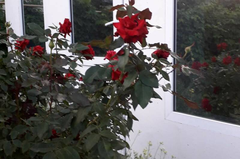 Изображение Изображение гостиницы &quot;Частное домовладение «Берег»&quot; #3 #3