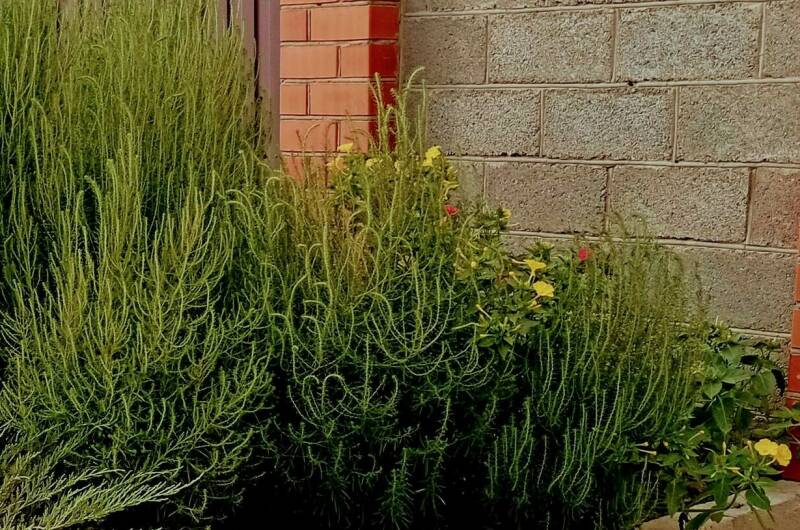 Изображение Изображение гостиницы &quot;Частное домовладение «Берег»&quot; #8 #8