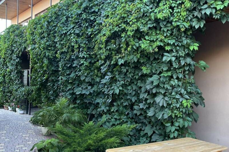 Изображение Изображение гостиницы &quot;Гостевой дом «Бамбук»&quot; #2 #2