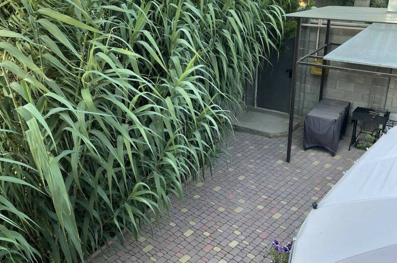 Изображение Изображение отеля / гостиницы "Гостевой дом «Бамбук»" #10 #8