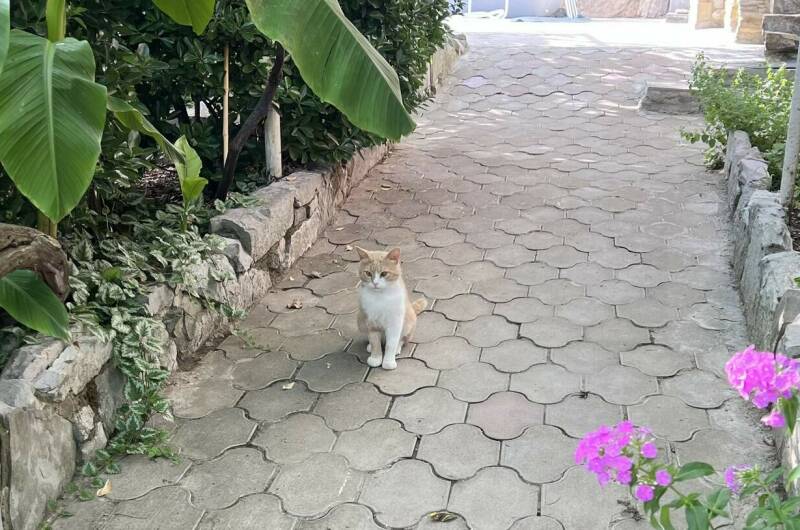 Изображение Изображение квартиры &quot;Апартаменты на Школьной&quot; #8 #8