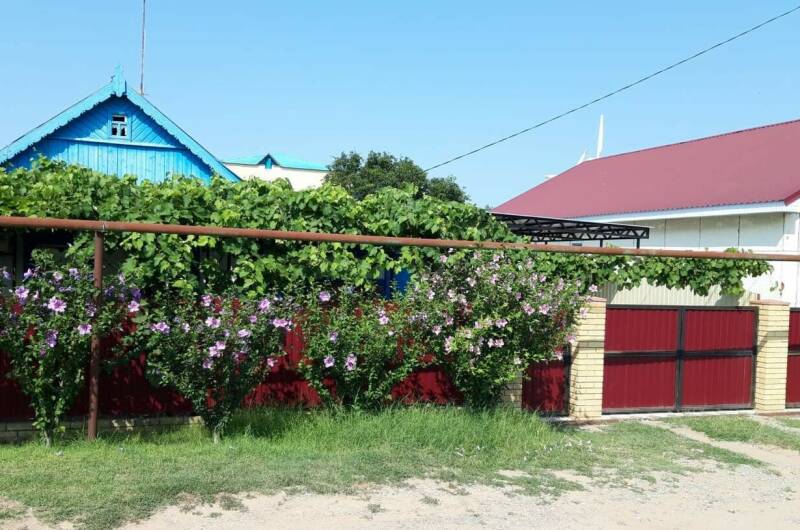 Изображение Изображение гостиницы &quot;Гостевой дом «Приазов»&quot; #7 #7