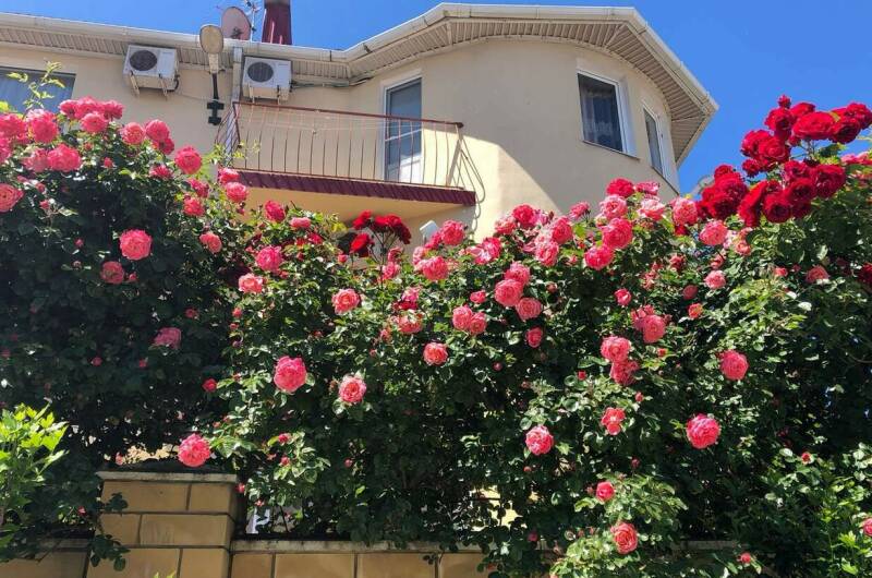 Изображение Изображение гостиницы &quot;Гостевой дом «Барон-Диана»&quot; #3 #3