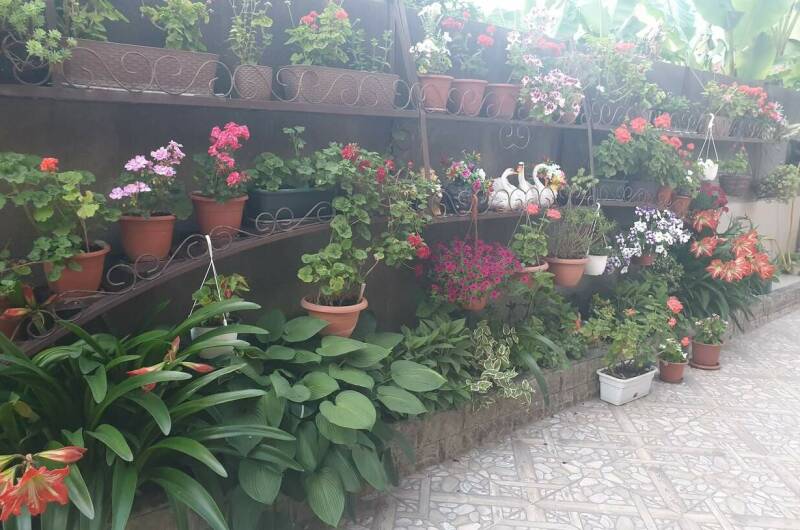 Изображение Изображение гостиницы &quot;Частный сектор «Маргарита»&quot; #2 #2