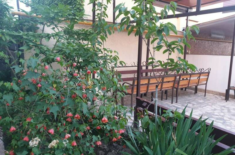 Изображение Изображение гостиницы &quot;Частный сектор «Маргарита»&quot; #3 #3