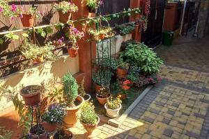 Изображение отеля / гостиницы "Частное домовладение «Курорт»"