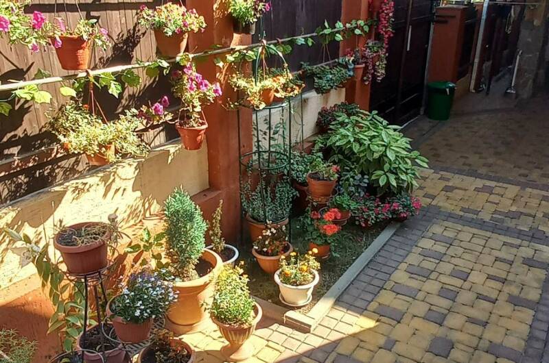 Изображение Изображение гостиницы "Частное домовладение «Курорт»" #1 #1