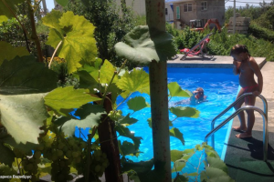 Изображение Дом под ключ на Станичной #3