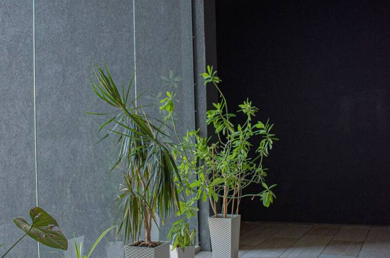 Изображение Изображение квартиры "Апартаменты «Дом Корчагина»" #5 #5