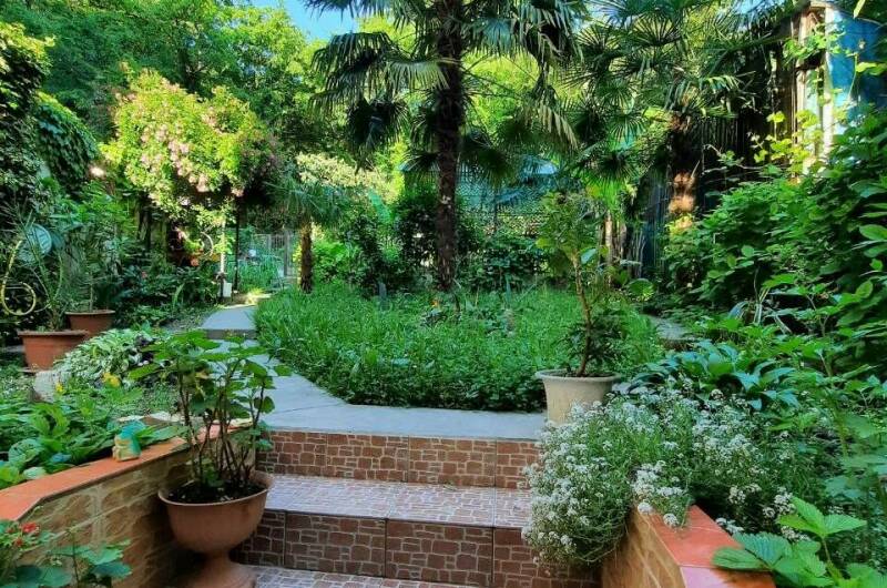 Изображение Изображение гостиницы &quot;Гостевой дом «Мини Пальма»&quot; #1 #1