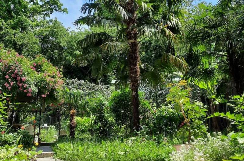 Изображение Изображение гостиницы &quot;Гостевой дом «Мини Пальма»&quot; #2 #2