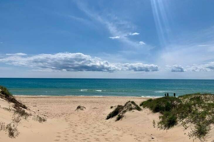 Изображение Изображение гостиницы &quot;База отдыха «Семейный Оазис»&quot; #2 #2