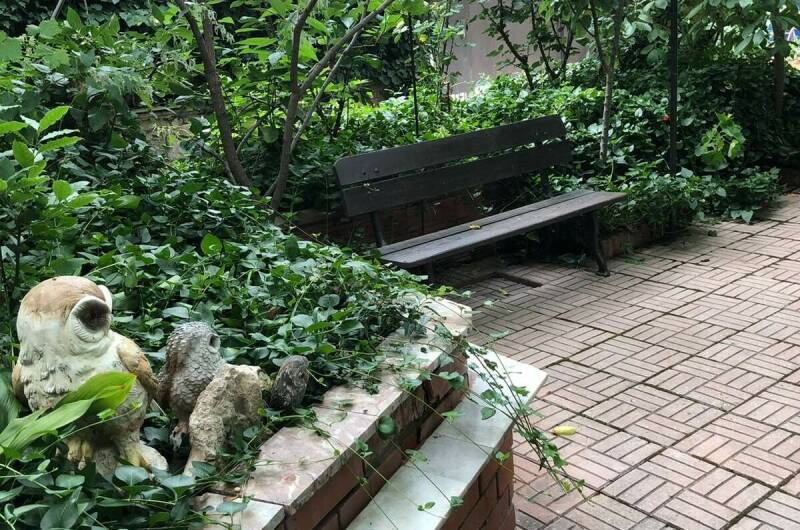 Изображение Изображение гостиницы &quot;Гостевой дом «У Совы»&quot; #7 #7