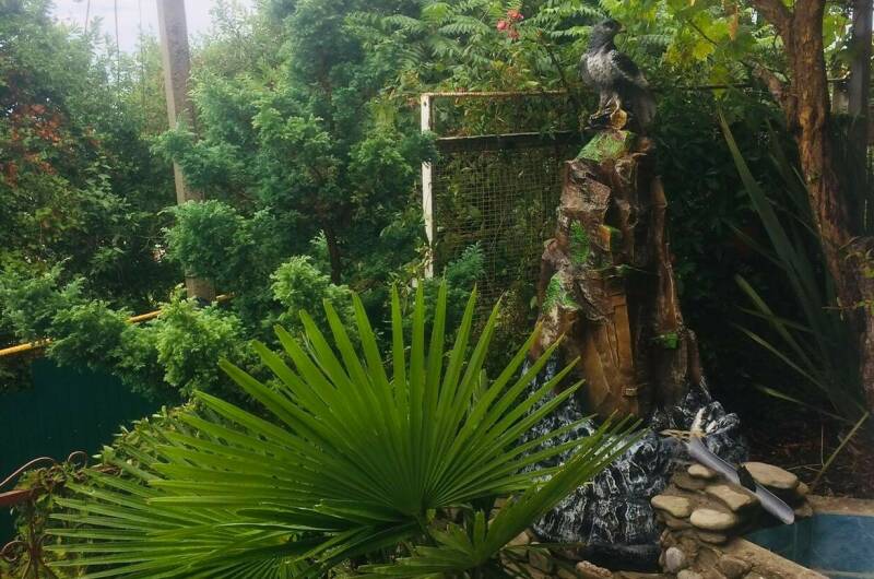 Изображение Изображение гостиницы &quot;Гостевой дом на Мирной&quot; #2 #2