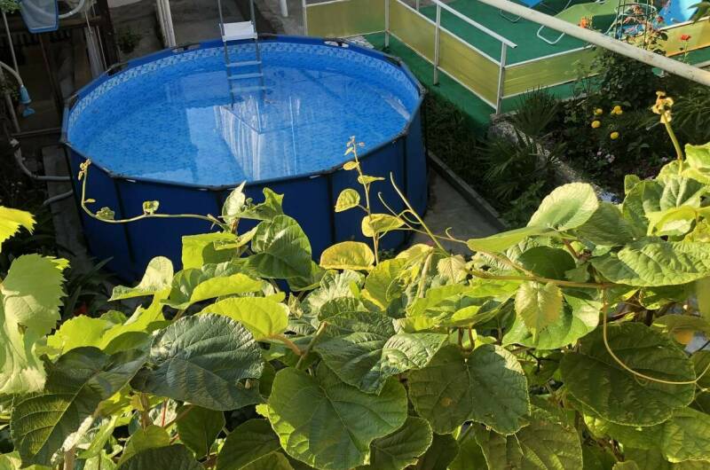 Изображение Изображение гостиницы &quot;Гостевой дом на Мирной&quot; #6 #6